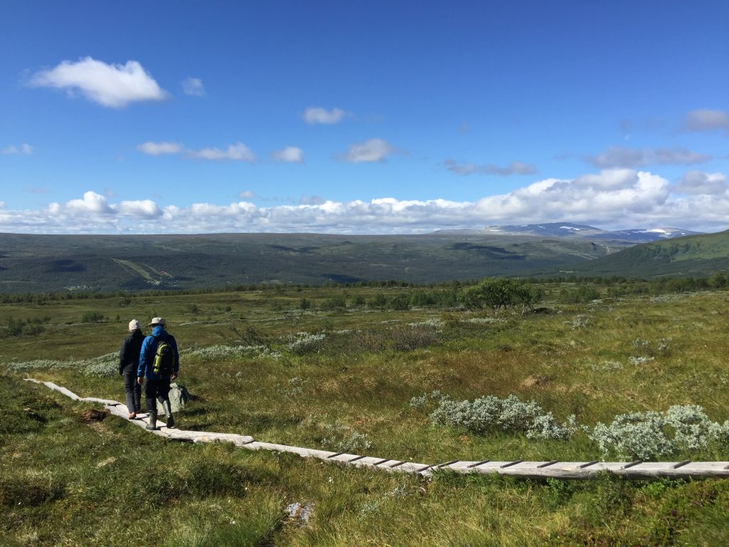 summer travels in sweden Tänndalen #whydontyou