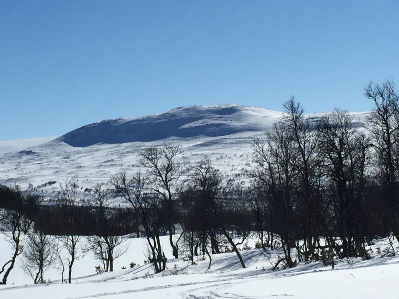 Skiing in Tänndalen #whydontyou